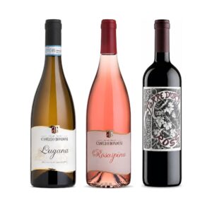 Einsteigerpaket Gardasee – Lugana DOC von Casello Bondoni, Chiaretto Rosaspina und Torre Rosso, drei Weine vom Gardasee-Südufer nebeneinander