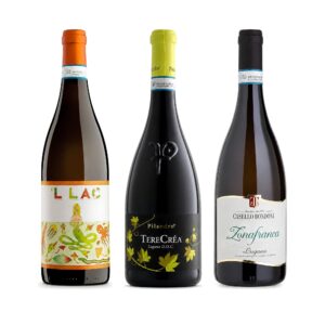 Lugana-Trio – 'L LAC aus dem Stahltank, Terecrèa von Pilandro und Zonafranca aus dem Barrique, drei Lugana DOC aus Turbiana vom Gardasee-Südufer nebeneinander