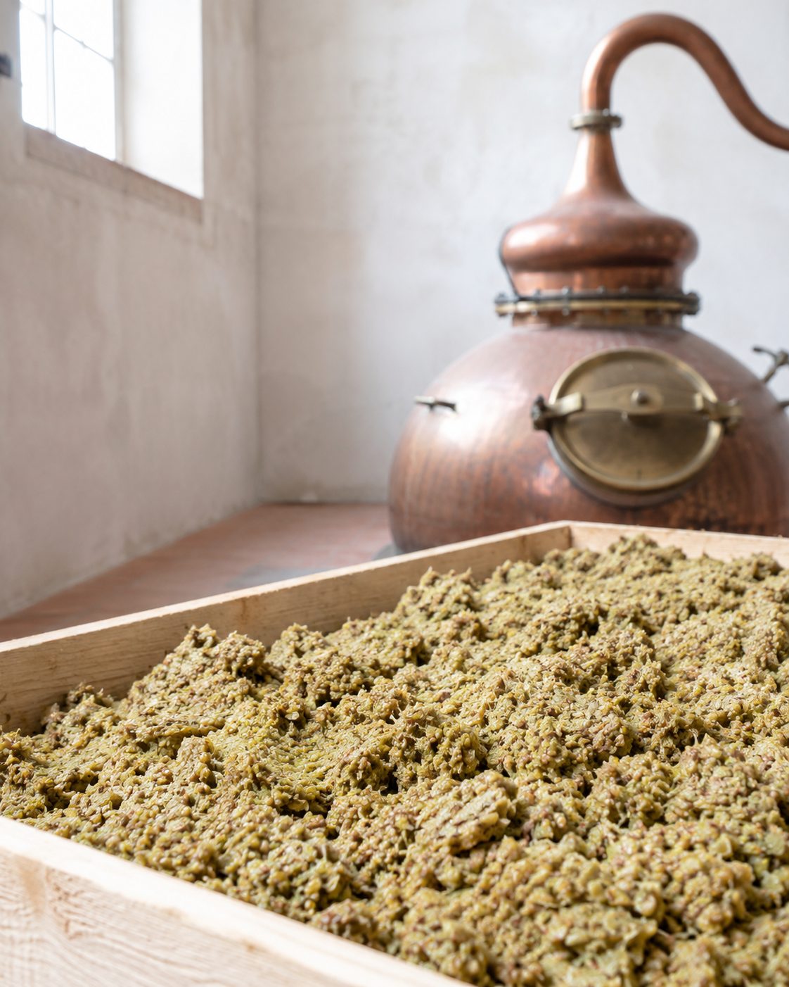 Trester der Turbiana in einer Holzkiste vor einer Kupferbrennblase – Ausgangsmaterial für den Grappa di Lugana Tardiva von Pilandro am Gardasee-Südufer